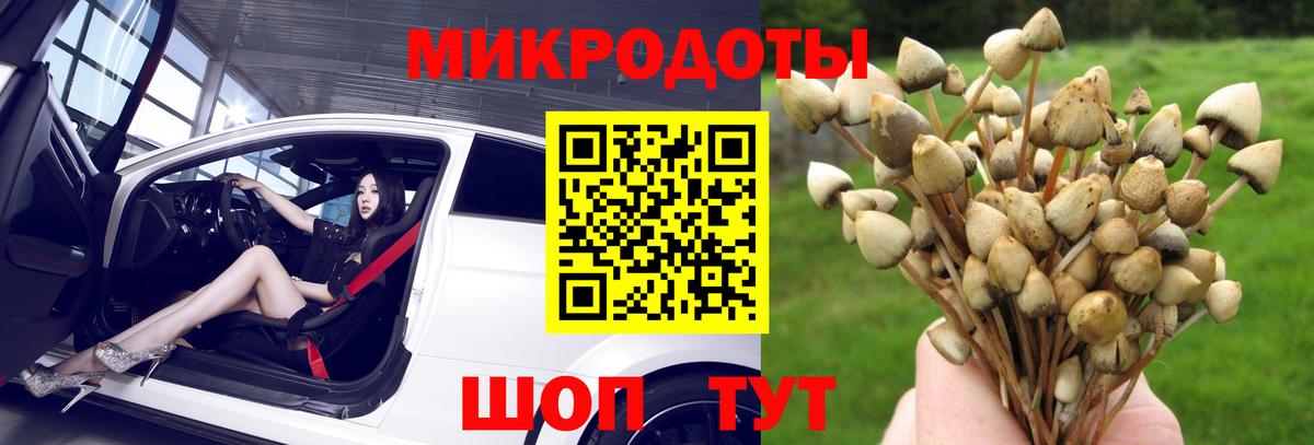 хочу наркоту  Вход с VPN  Нефтеюганск  Псилоцибиновые грибы Psilocybe  Галлюциногенные грибы Psilocybine cubensis 
