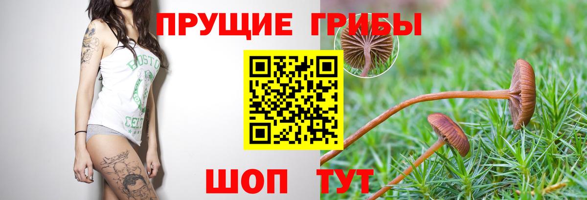 Галлюциногенные грибы MAGIC MUSHROOMS Нефтеюганск
